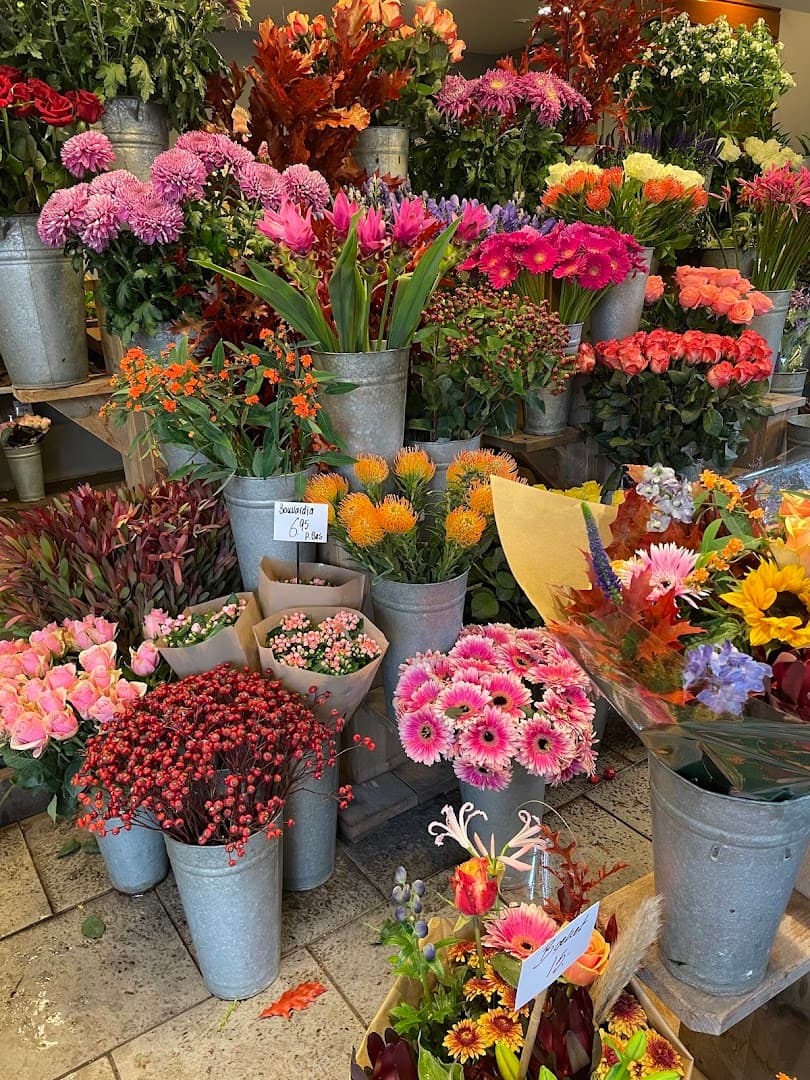 B&b Bloemen, foto 5