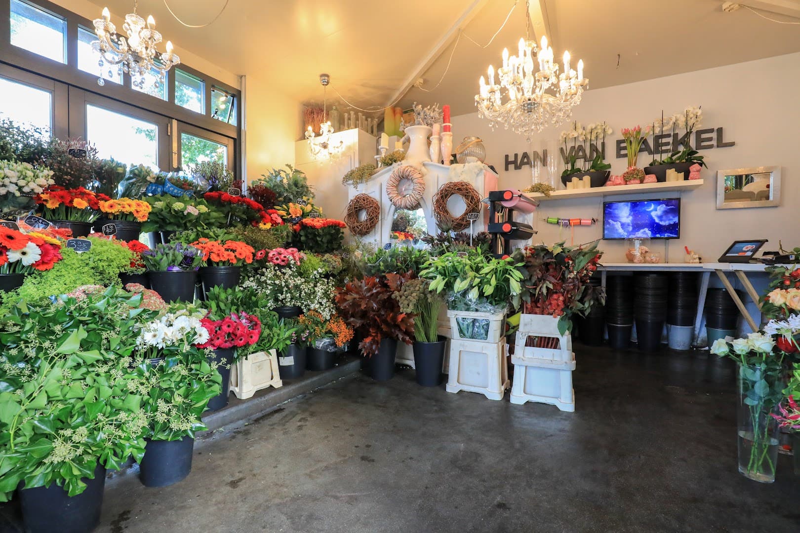 Bloemenhandel Han van Baekel, foto 2