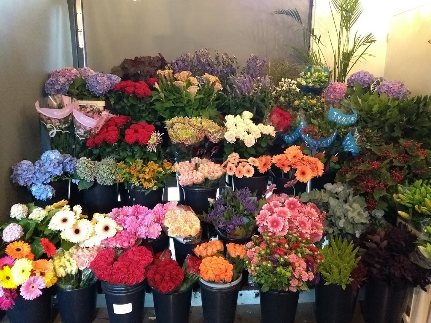 Bloemenhandel Han van Baekel, foto 4