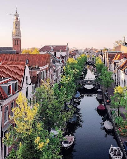 Een dagje Haarlem met