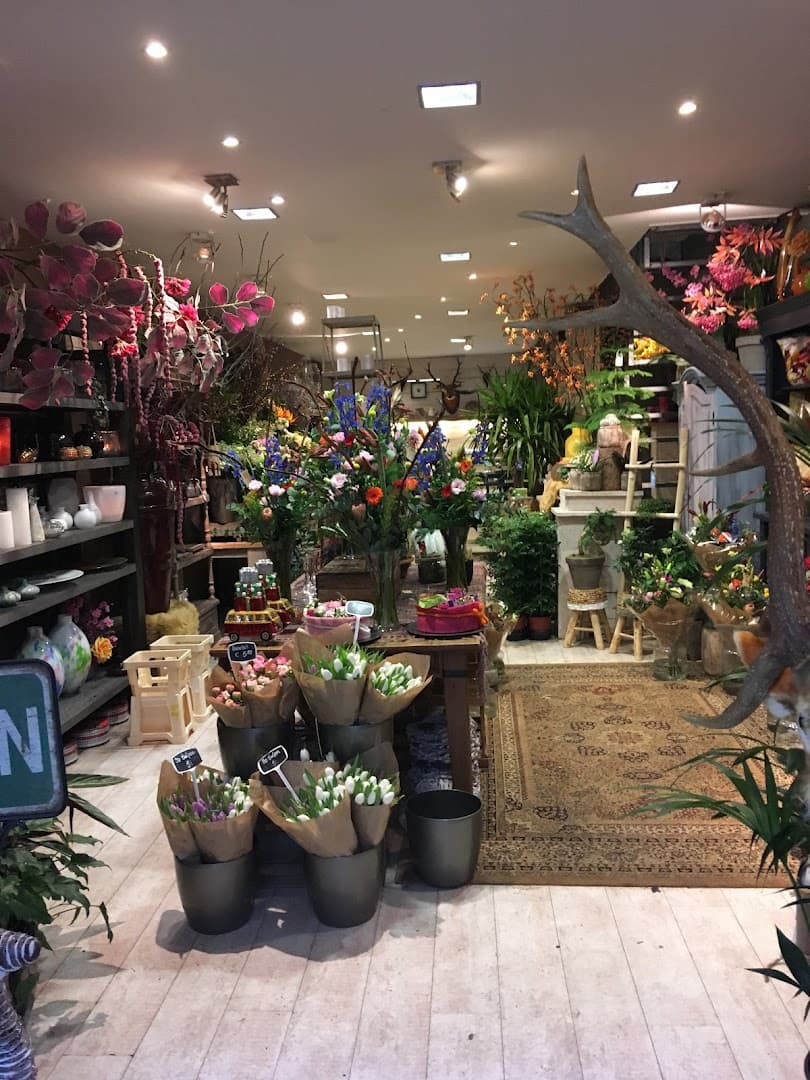 Pluk n Bloom Haarlem, foto 2