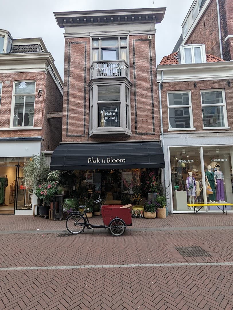 Pluk n Bloom Haarlem, foto 4
