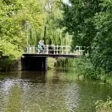 Ochtendwandeling met IVN: Natuur in de stad Haarlem