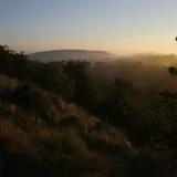Zonsondergang bosbad in de Amsterdamse Waterleidingduinen in Haarlem en omgeving