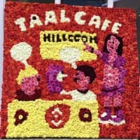 Taalcafé in Hillegom