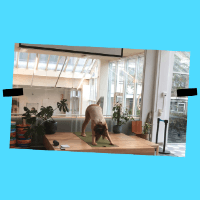 Ontdek de Yogagroep van de Wereldkeuken in Schalkwijk