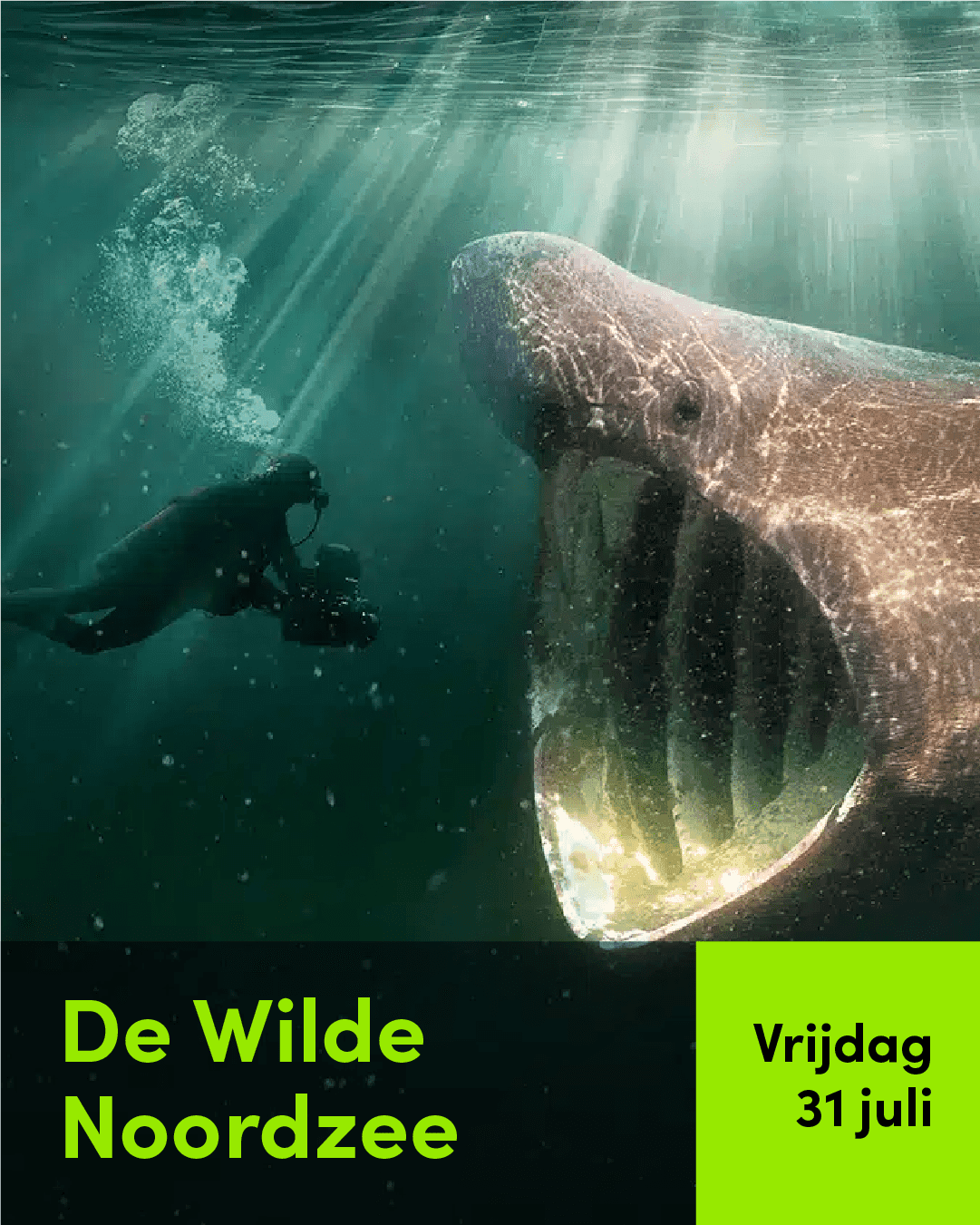 Zomeravondfilm in de Kweektuin – 31 juli: De Wilde Noordzee