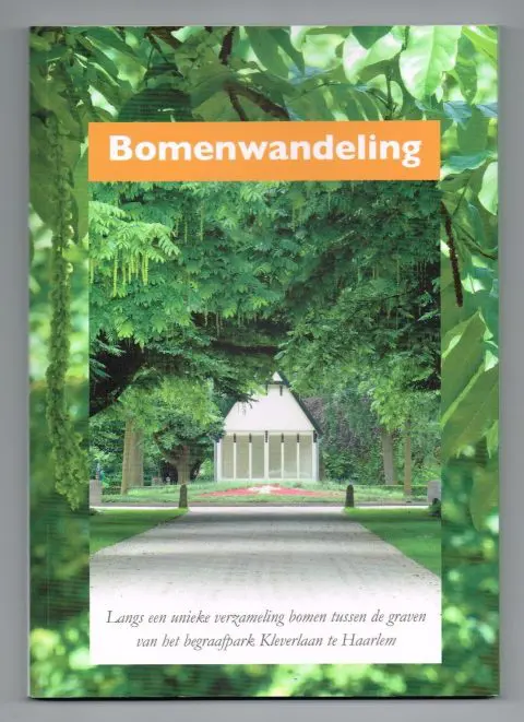 Monumentale bomen op de begraafplaats Kleverlaan in Haarlem
