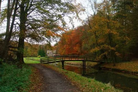 Aan de slag voor het Rondbladig Wintergroen in Overveen