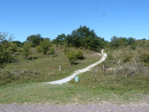 Wandeling door het Kraansvlak