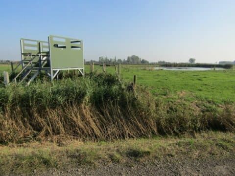 Vogelexcursie Hekslootpolder en De Gruijters