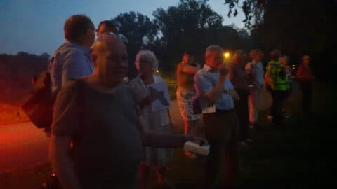 Vleermuizen Heimanshof