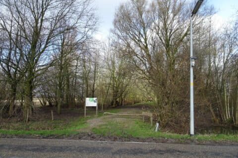 Excursie in ‘protest’- Bulderbos in IVN Zuid-Kennemerland, Haarlem / Overveen / Bloemendaal