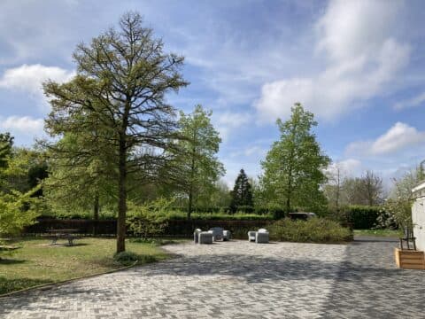 Bomen excursie en de geschiedenis van begraafplaats Meerterpen in Zwaanshoek