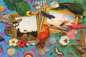 Vier de zomer in Teylers Museum