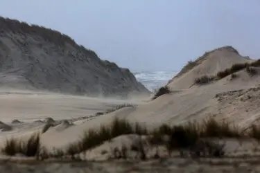 De kracht van stuivende duinen