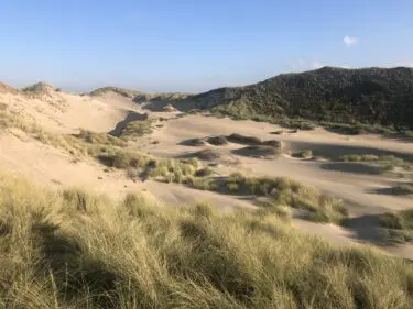 Dynamiek in de duinen in Nationaal Park Zuid-Kennemerland