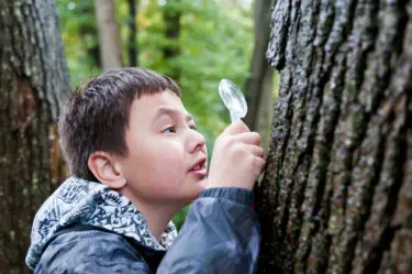 Duindetective: speuren naar sporen