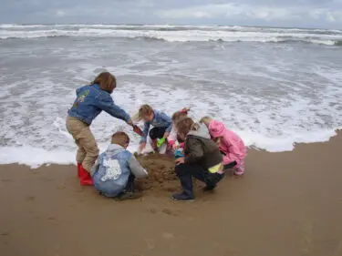 Strandexcursie – ontdek de schatten van de zee!