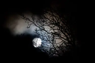 Nacht van de nacht
