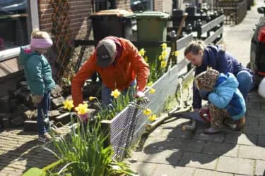 De Grote Plantdag in Velsen-Noord